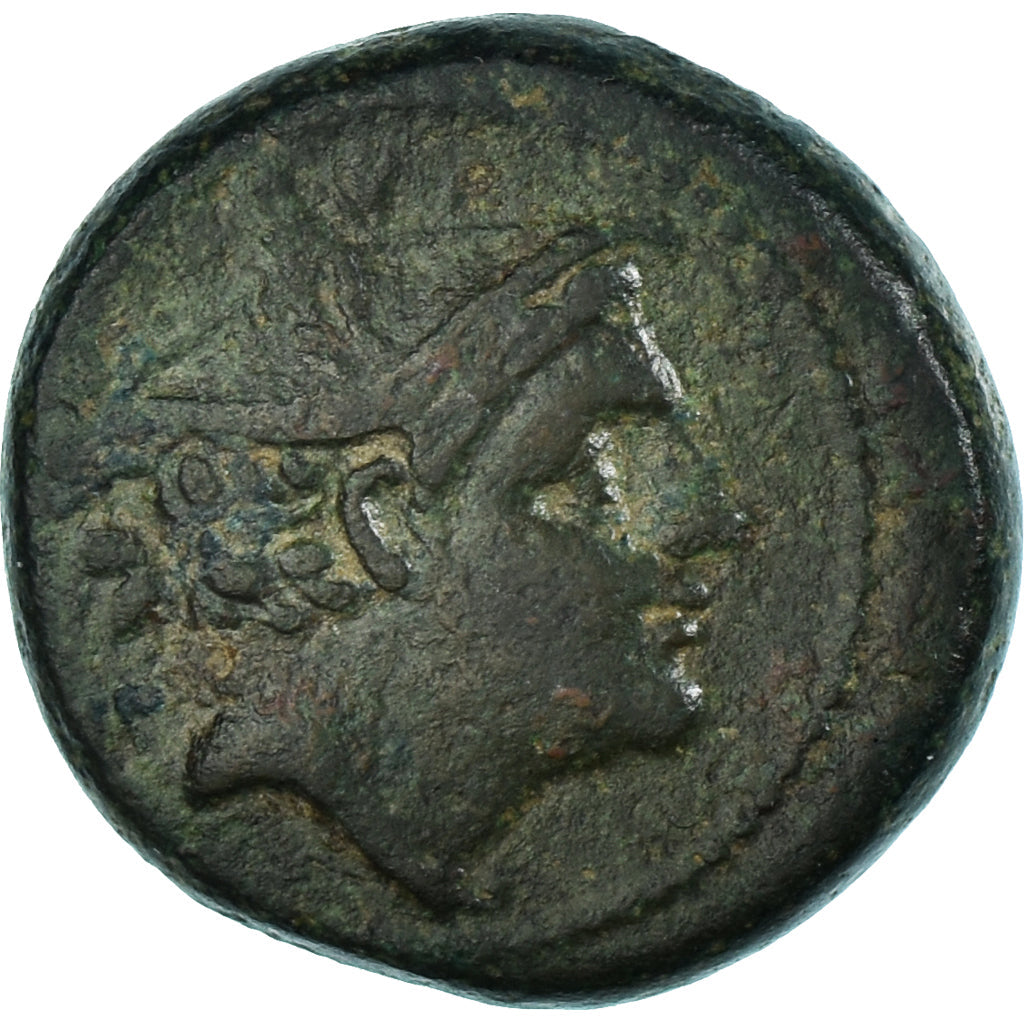 Moneta, 
  
  Anonimowy, 
  
  Semuncja