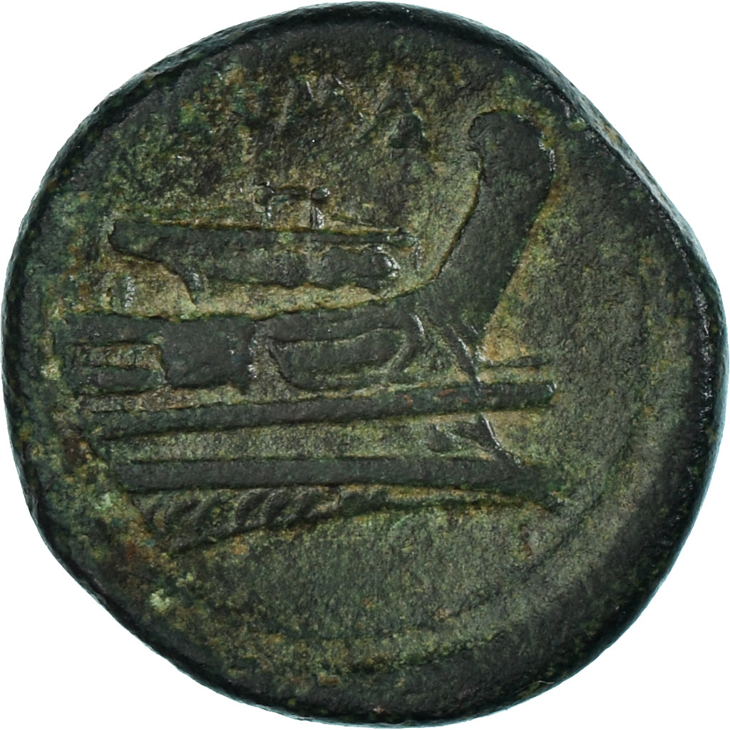 Moneta, 
  
  Anonimowy, 
  
  Semuncja