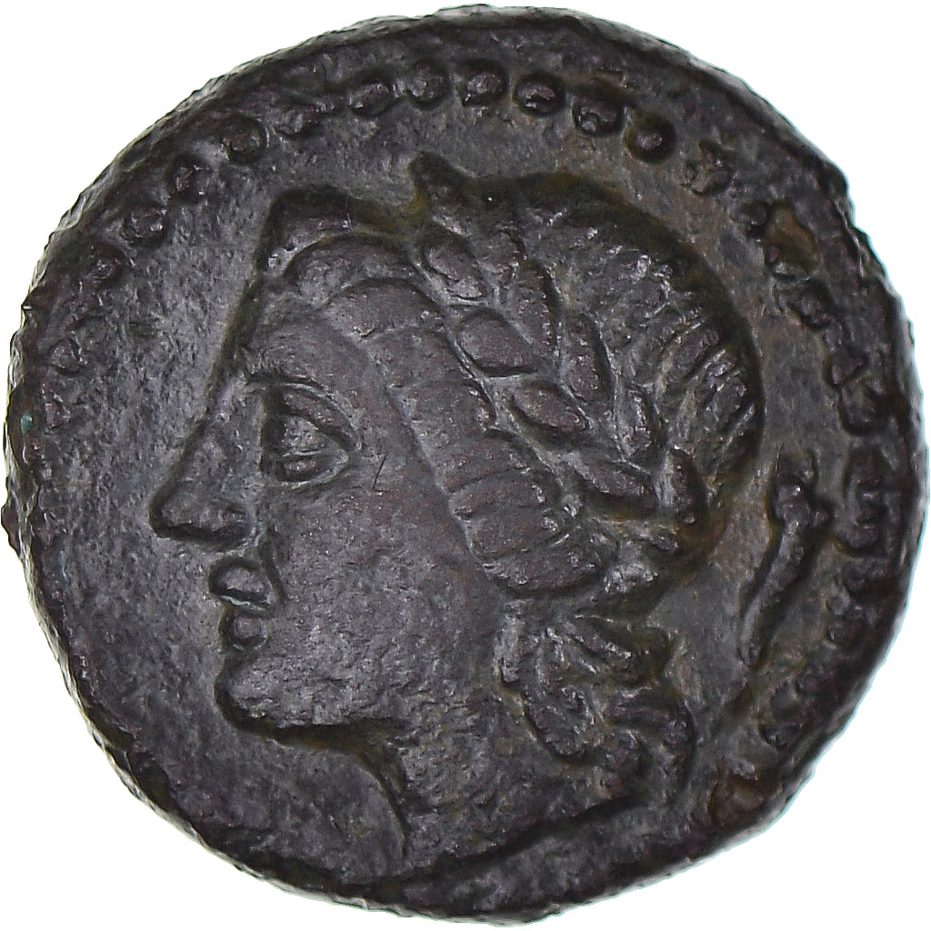 Moneta, 
  
  Sycylia, 
  
  Æ