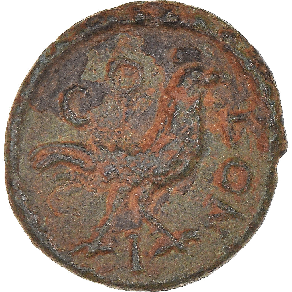 Moneta, 
  
  Seleukis i Pieria, 
  
  Pseudoautonomiczny