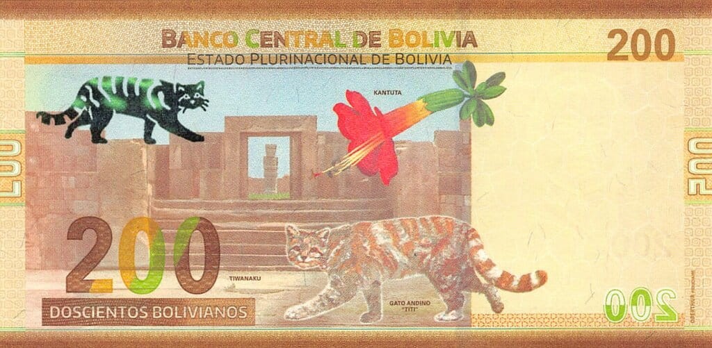 Boliwia 200 bolivanos Ocelot andyjski 2019 P-252