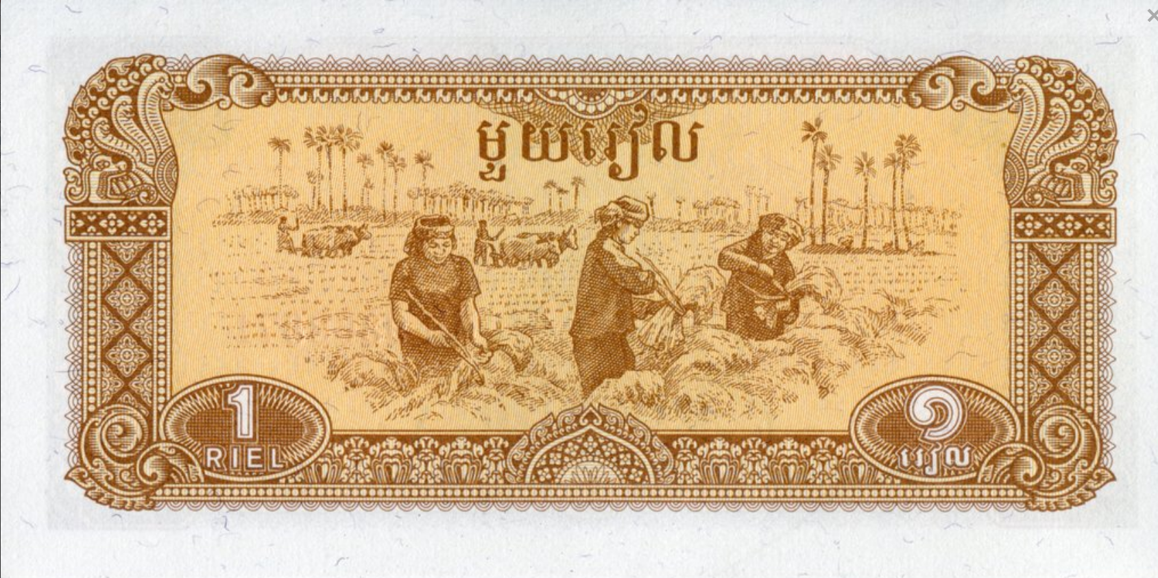 Kambodża 1 riel Kobiety 1979 P-28