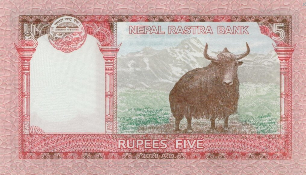 Nepal 5 rupii Wół 2020  P-76b